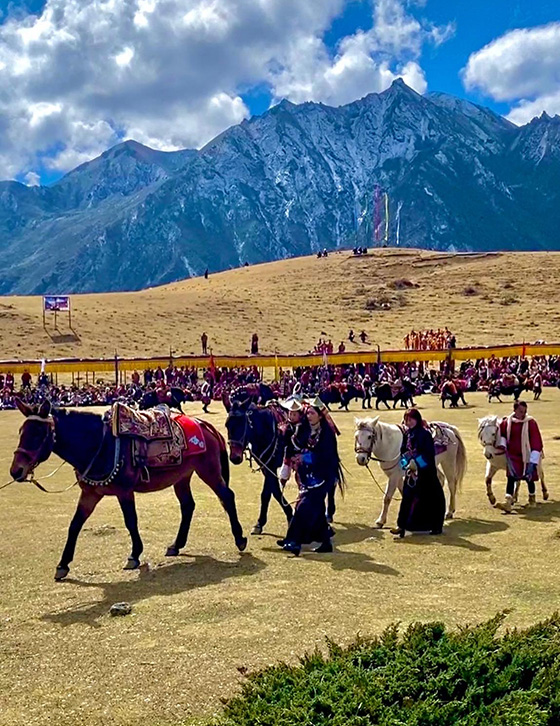 Blissful Odyssey Travel