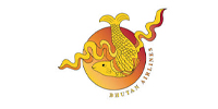 Bhutan Airline
