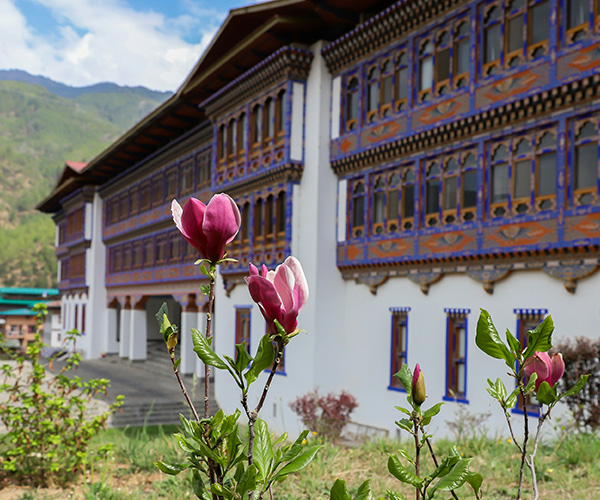 7N 8D Tour from Phuntsholing