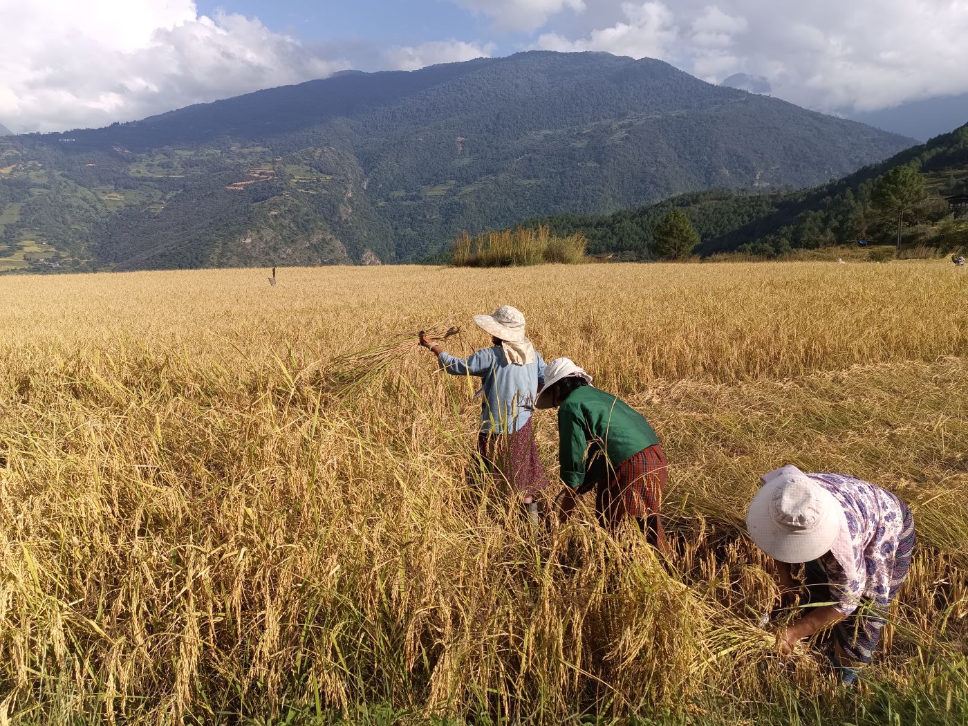 A Comprehensive Eastern Bhutan Tour from Guwahati Airport