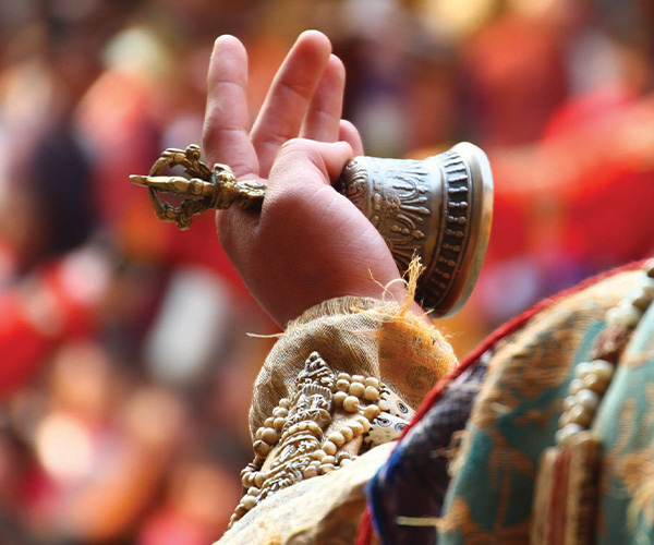 Matsutake Mushroom Festival