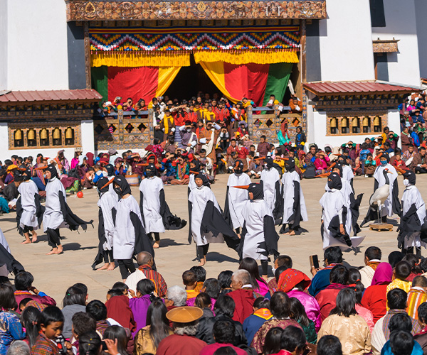 Black Necked Crane Festival Tour
