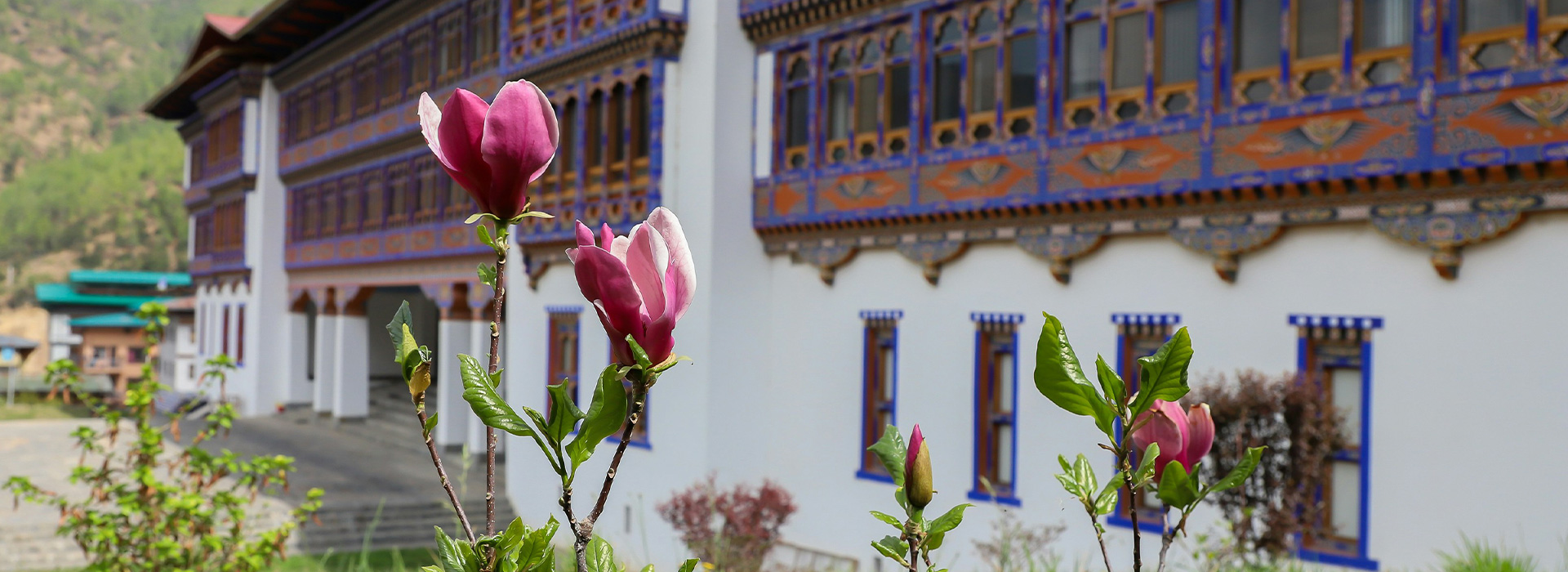 7N 8D Tour from Phuntsholing