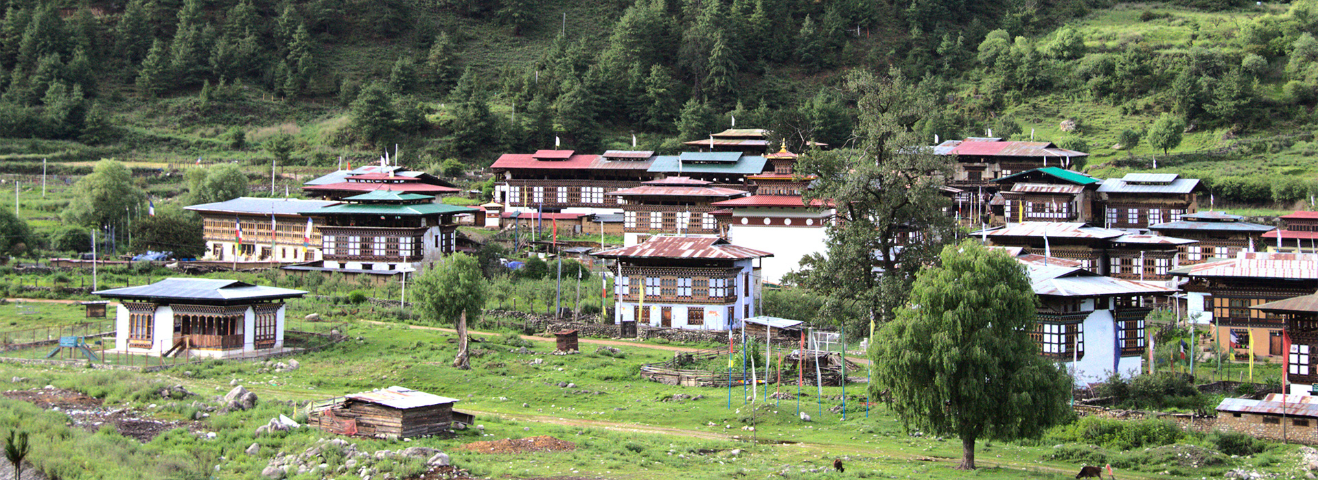 Cultural Tour with Haa Valley
