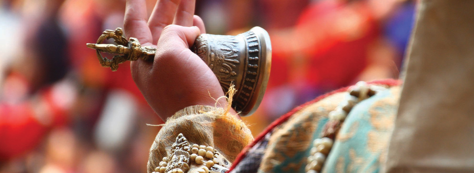 Matsutake Mushroom Festival